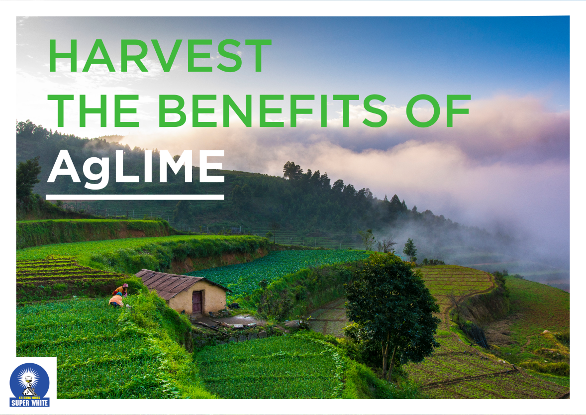 Alpine Aglime